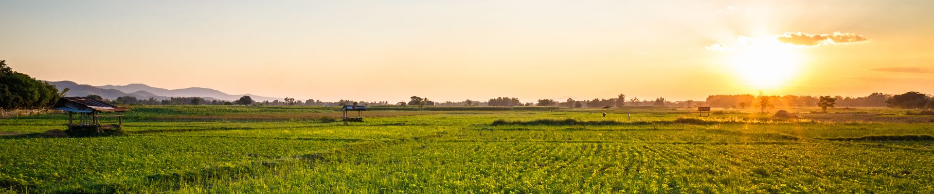 Natural Farming
