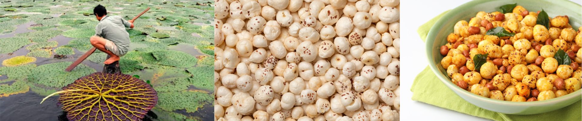 Makhana (Fox Nut)