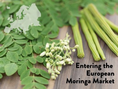 Entering the European Moringa Market